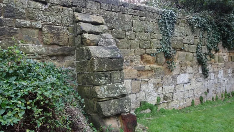 Survey of historic wall in St Leonards